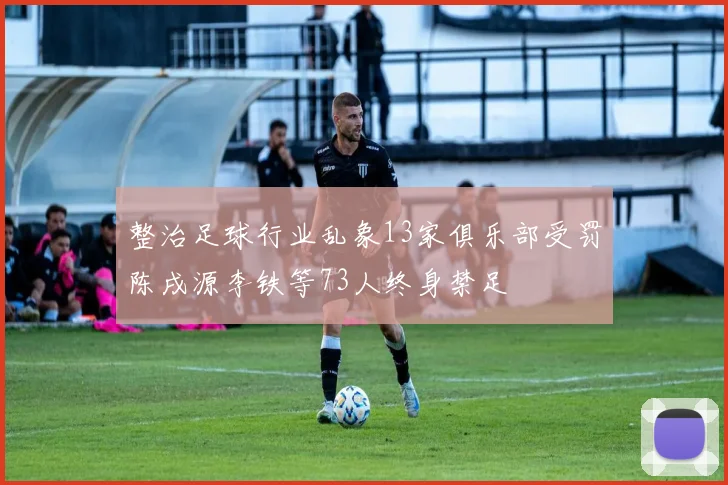 整治足球行业乱象13家俱乐部受罚陈戌源李铁等73人终身禁足