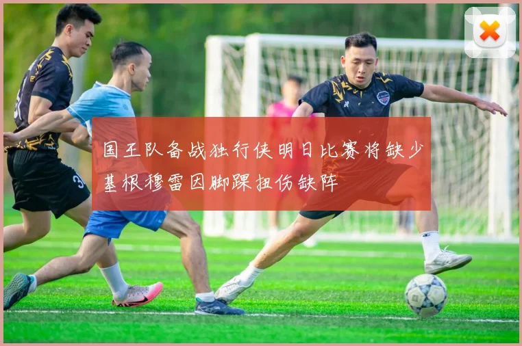 国王队备战独行侠明日比赛将缺少基根穆雷因脚踝扭伤缺阵