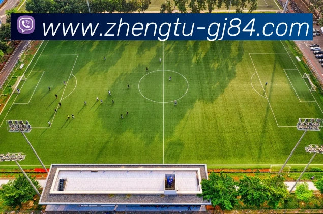 奖项图1